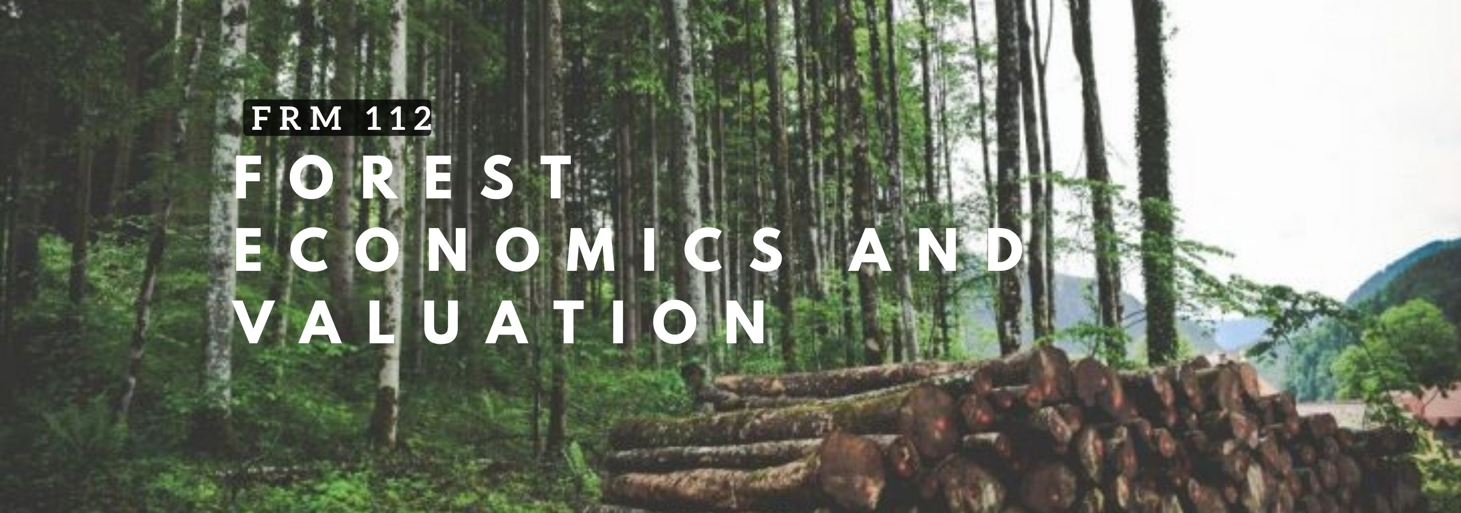 Summary of Forest Resource Economics and Valuation